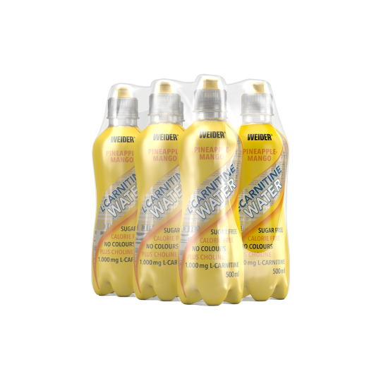 6er Pack | L-Carnitine Water